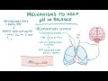 Metabolic acidosis - causes, symptoms, diagnosis, treatment, pathology