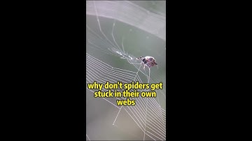 Why don