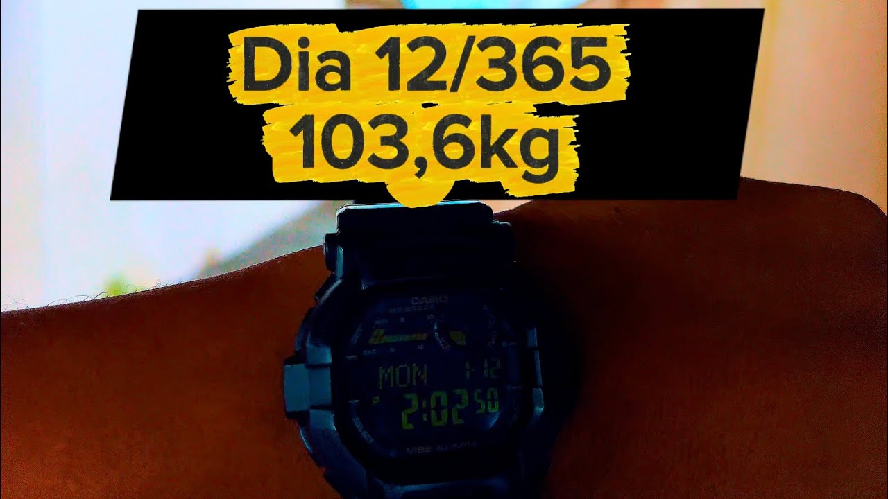 Treino 2026 - 12/365