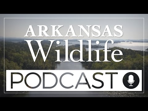 Arkansas Wildlife Podcast Episode 3- Fishing with David Bazzel