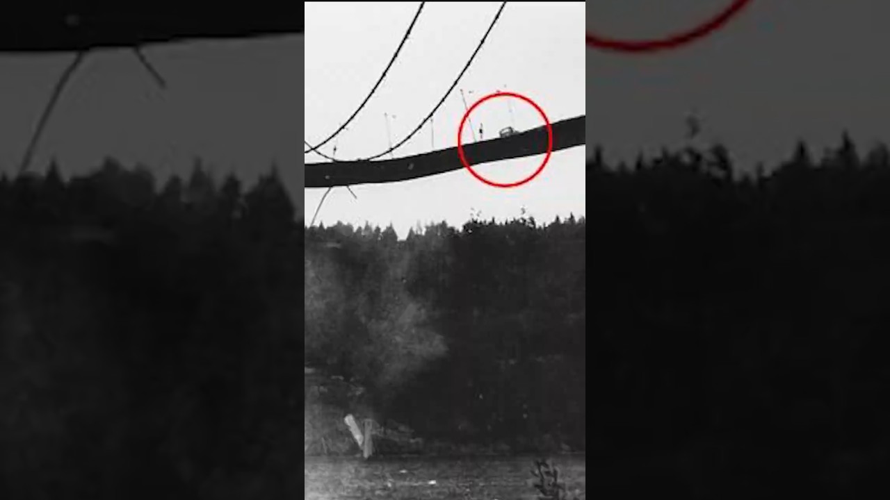 Bridge Built On Greed Took A Dog Down With It
