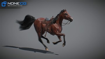 3D Animated Horses