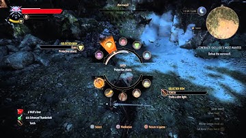 The Witcher 3: Wild Hunt bug