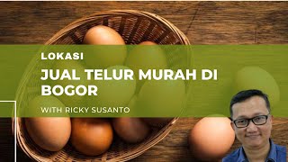 TEMPAT JUAL TELUR AYAM MURAH DI BOGOR