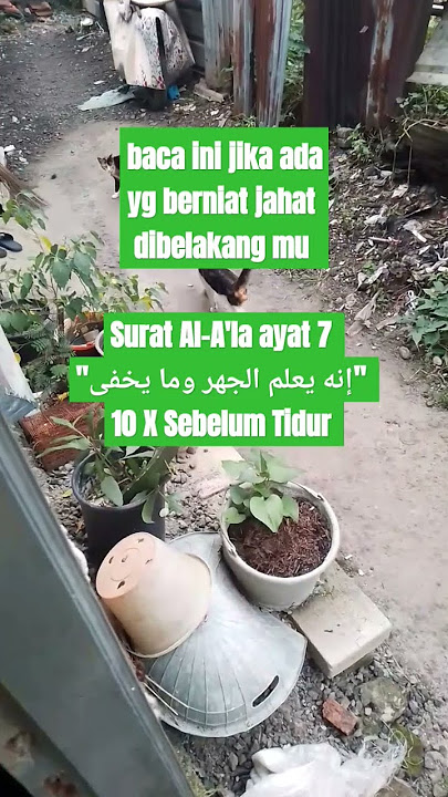 baca ini jika adayg berniat jahat dibelakang mu