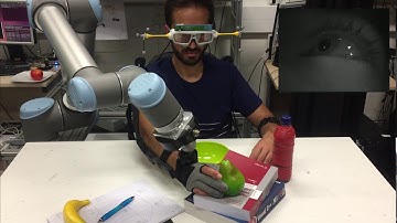 Gaze-based robotic reach and grasp support through multi-modal sensing