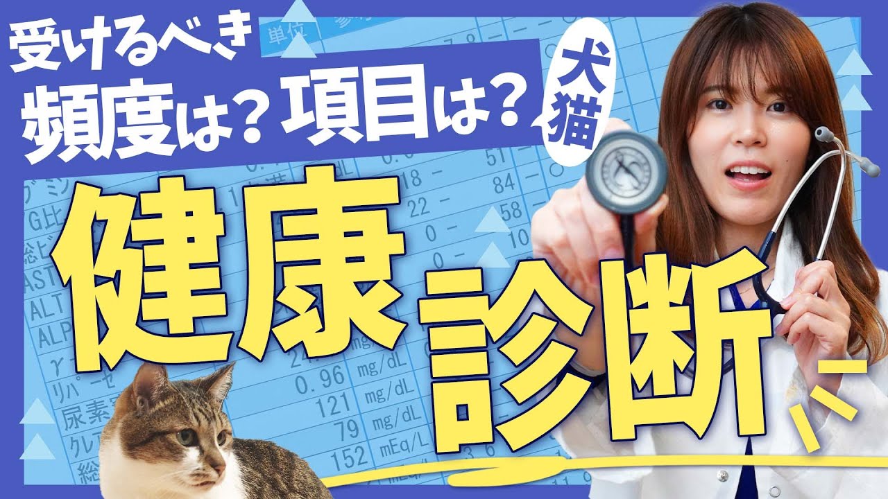 獣医師が解説】犬と猫の健康診断、これだけは受けといて！ - YouTube