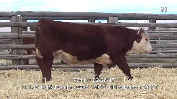 Lot 91 ~ H5 0945 Domino 7241