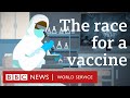 Coronavirus: When will a Covid-19 vaccine be ready? - BBC World Service
