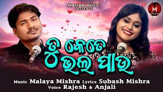 Tu Kete Bhala Pau | Odia Romantic Song | Rajesh Raj & Anjali Dutta | Malaya Mishra Melody