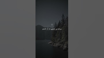 تلاوة خاشعة جميلة بصوت ماهر المعيقلي ارح سمعك #ماهر_المعيقلي
