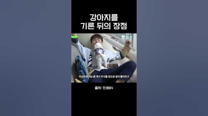 기안84가 말하는 강아지를 기른뒤의 장점