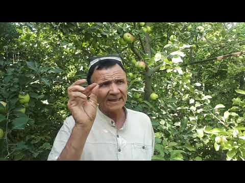 Rus keksa va yosh lesbiyanlar