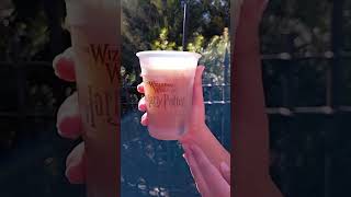 universal Florida Butterbeer a Must Have