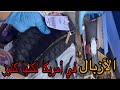 كنوز القمامة ولكن هذه حقيقة أزبال أمريكا جزء تانى