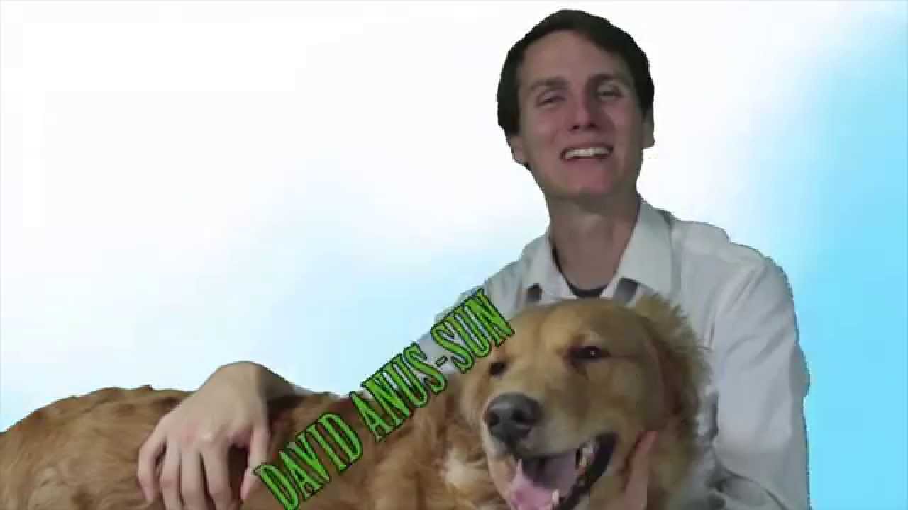 TKB Shortz Dave's Golden Rainbow Organic Dog Food Commercial YouTube