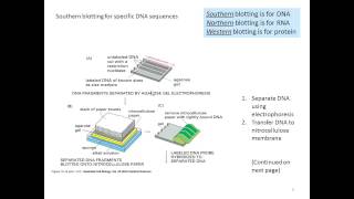 L18v01 introENG