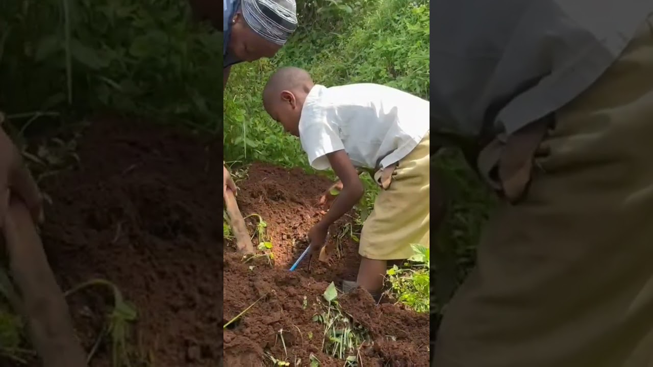 On World Environment Day, we planted 230 trees—thanks to Nkweshoo Primary School afor their support.