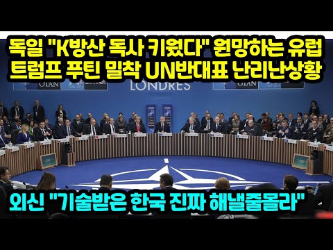 독일 &amp;quot;K방산 <strong>독사</strong> 키웠다&amp;quot; 원망하는 유럽 트럼프 푸틴 밀착 UN반대표 난리난상황 외신 기술받은 한국 진짜 해낼줄몰라