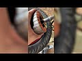 Must Watch: Ebike Hub Motor PMS (Motor Hub)