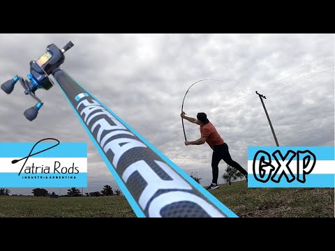 Caña PATRIA RODS