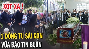 🔴Tin Mới! Xót Xa 1 Dòng Tu Tổng Giáo Phận Sài Gòn Báo Tin Buồn - Xin Cầu Nguyện l Đinh Thập Tự Vlog