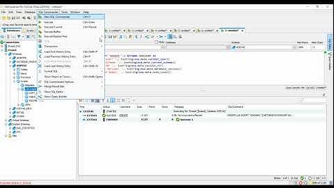 Exasol Lua Script  Sample: whoami UDF sample