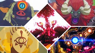 Zelda Breath Of The Wild switch 2  All Bosses