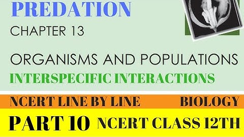 PART-10 PREDATION||POPULATION INTERACTIONS||CHAPTER 13 CLASS 12TH BIOLOGY NCERT.