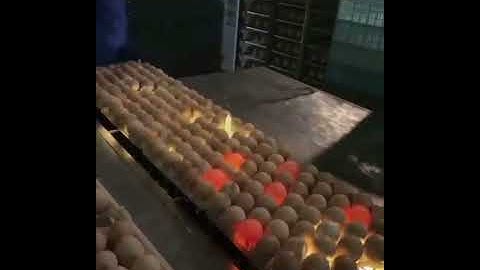 See the innovative way bad eggs are sorted in this factory