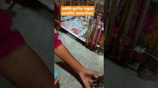 ফাউমি মুরগির গাম্বুরো ভ্যাকসিন করার নিয়ম