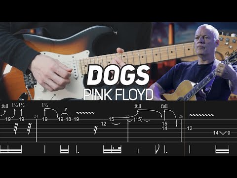 Pink Floyd - Dogs intro chords & main solo (Guitar Lesson with TAB)