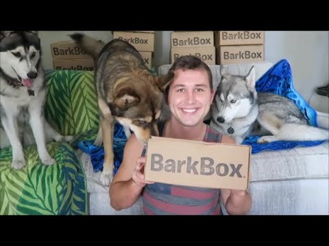 barkbox-unboxing-|-august-2016