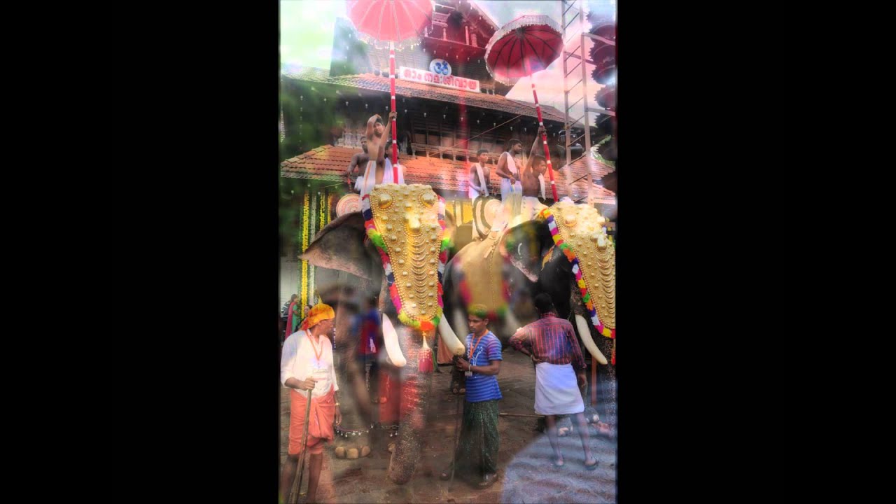 Thrissur Pooram Festival on May 9, 2014 - YouTube