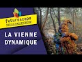 La vienne dynamique  les attractions et spectacles