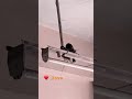 Birds love |mother love |