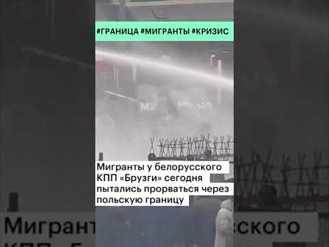 Столкновение мигрантов с польскими пограничниками: обострение на границе Польши и Белоруссии #shorts