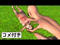 【コメント付き】医療スキル-100で治療をすると...命が台無しになった!【Kenshi】
