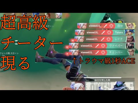 【VALORANT】Riotから見放された男【チートはダメ】