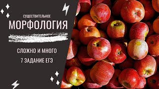 Морфологические нормы имён существительных