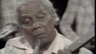 Nelson Cavaquinho canta "Luz Negra" 1976