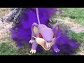 POKÉMON GO CRYPTO POKÉMON ERLÖSEN