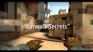 Catwalk Trick Youll Never Forget