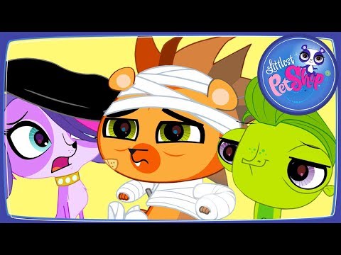 Маленький ПетШоп. Мультфильм. Большое окно
