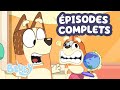 Saison 3 De Bluey 6 Épisodes Complets Bluey Français Chaîne Officielle 