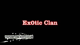Exotic Intro