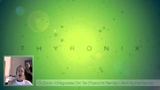 O-Zone - Dragostea Din Tei (THYRON!X Remix) / AKA Numa Numa