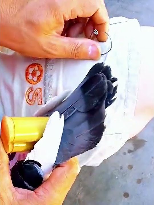 Homing pigeons flying whistle- Good tools and machinery make work easy
