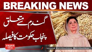 Punjab Government Announces Major Decision on Wheat Procurement & Prices | Hum News