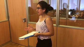 Plan de Acción Tutorial